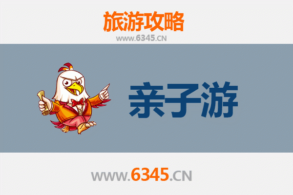 周口太康亲子游攻略：探索历史与自然的家庭乐趣