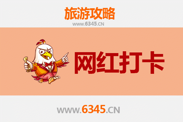 太康网红打卡全攻略：古韵新风，解锁小众旅行地