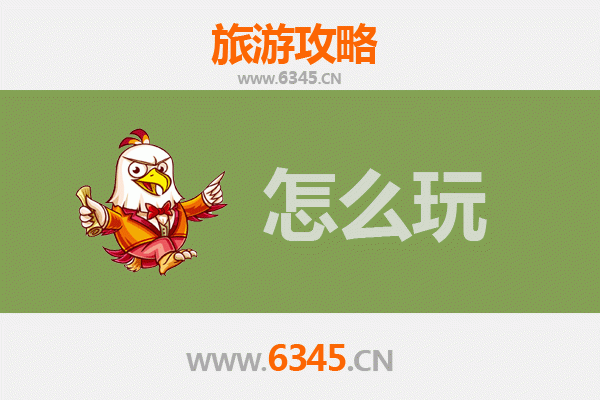 节假日周口太康游玩全攻略：古韵文化与休闲体验之旅